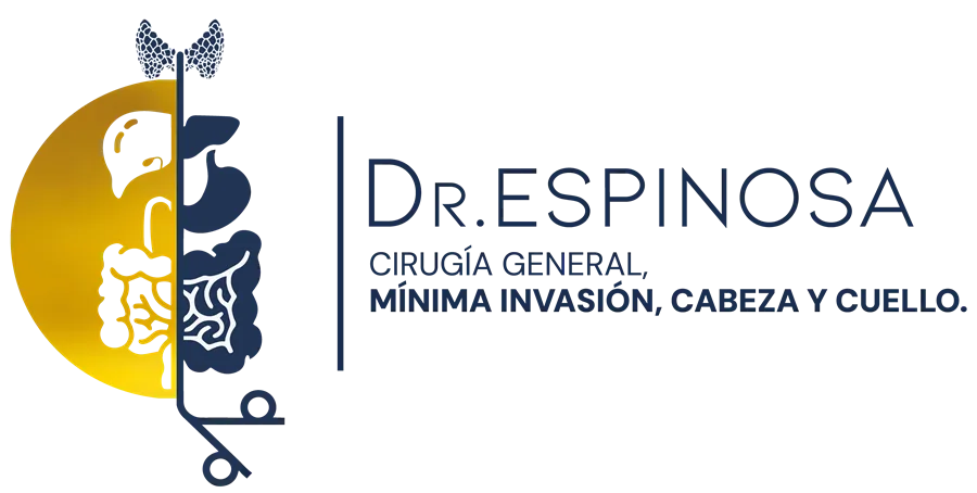 Cirugía General, Gastrointestinal y Laparoscopia Avanzada en
                  Oaxaca, México - Dr. Gerardo Espinosa Pérez